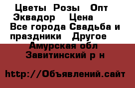 Цветы. Розы.  Опт.  Эквадор. › Цена ­ 50 - Все города Свадьба и праздники » Другое   . Амурская обл.,Завитинский р-н